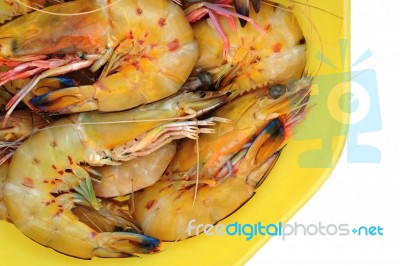 Shrimp Stock Photo