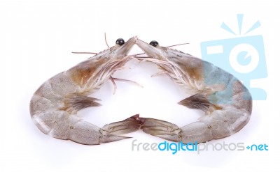 Shrimp Isolated On White Background Stock Photo