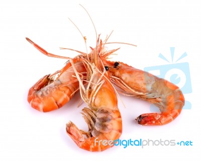 Shrimp Isolated On White Background Stock Photo