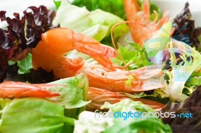 Shrimp Salad Stock Photo