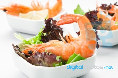 Shrimp Salad Stock Photo