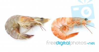 Shrimps On A White Background Stock Photo