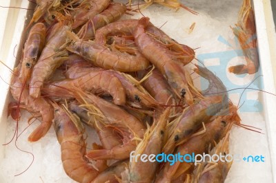 Shrimps,prawn With Ice At The Food Market Stock Photo