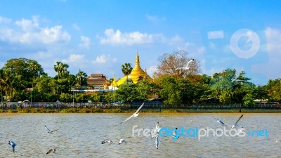 Shwedagon Pagoda, Yangon Myanmar Stock Photo