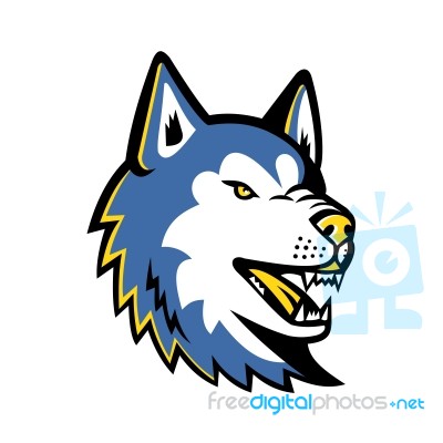 Siberian Husky Dog Mascot Stock Image