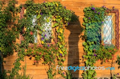 Sibiel, Transylvania/romania - September 17 : Morning Sunlight O… Stock Photo