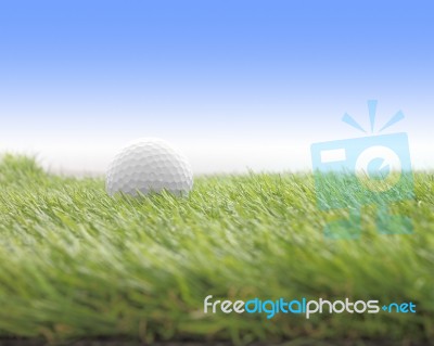 Side Golf Left On Green Grass Field Stock Photo