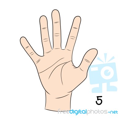 Sign Language,number 5 Stock Image