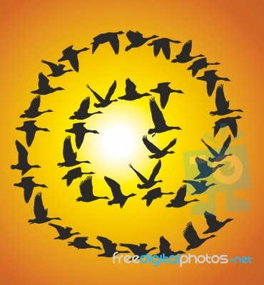 Sign Post Of Flying Geese At Sunset Stock Image