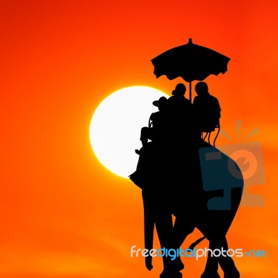 Silhouette Elephant With Tourist At Sunset Stock Photo