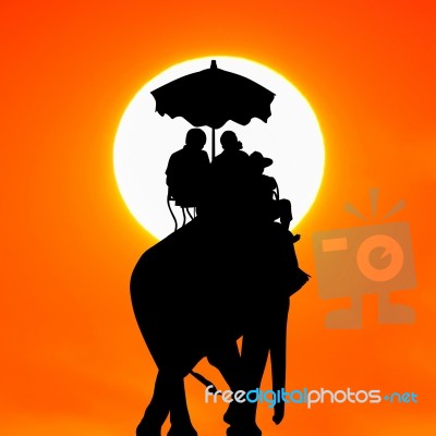 Silhouette Elephant With Tourist At Sunset Stock Photo