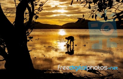 Silhouette Fisherman In Frame From Nature With Sunset Stock Photo