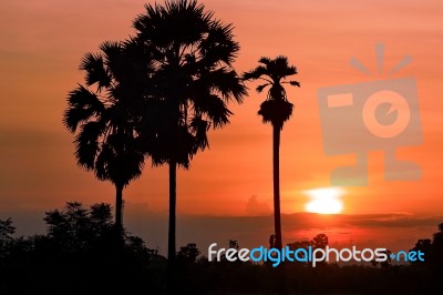 Silhouette Landscape Sunset Background Stock Photo