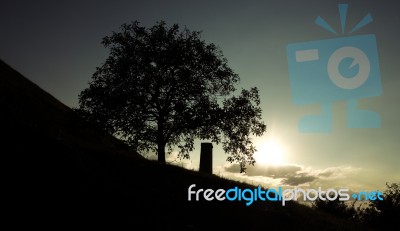 Silhouette Of A Monument Next To A Tree Stock Photo