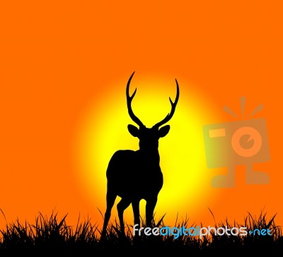 Silhouette Of Deer Stock Image