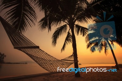 Silhouette Photography Of Beach Cradle On Coconut Tree Against Beautiful Sun Set Lighting Stock Photo