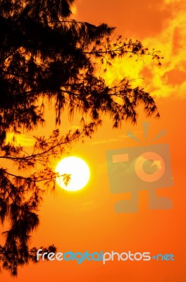 Silhouette Sunset Stock Photo