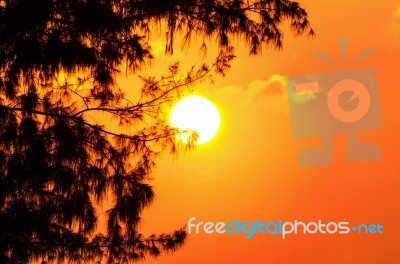 Silhouette Sunset Stock Photo