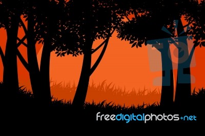 Silhouette Tree Forest Scene Stock Image