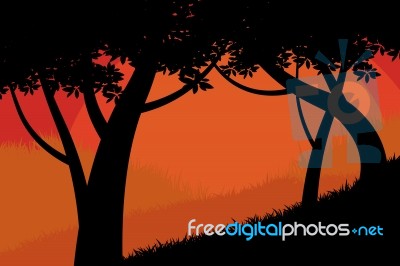 Silhouette Trees Forest Scene Stock Image