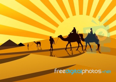 Silhouettes Of Camels At Sunset Stock Image