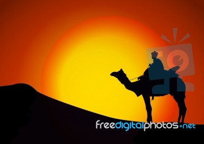 Silhouettes Of Camels At Sunset Stock Image