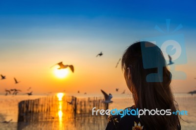 Silhoutte Of Birds Flying And Young Woman At Sunset Stock Photo