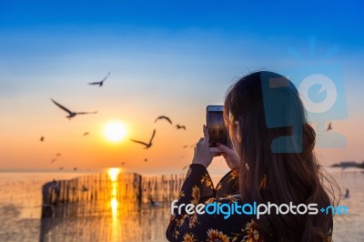 Silhoutte Of Birds Flying And Young Woman Taking A Photo At Sunset Stock Photo