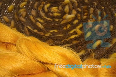 Silk Cocoons And Raw Silk Threads Stock Photo