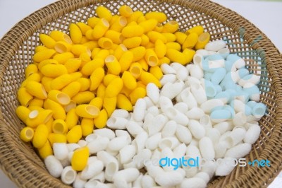 Silkworm Cocoon Yellow And White In Basket For Textiles Handmade… Stock Photo