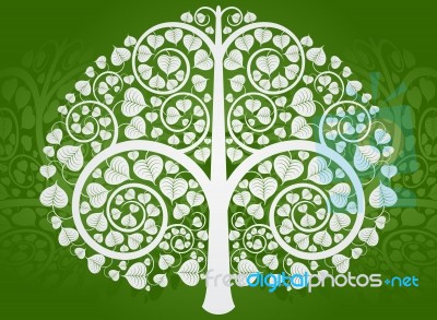 Silver Buddha Tree Stock Image