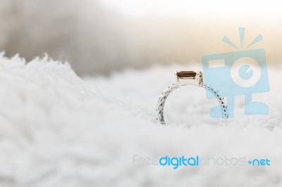 Silver Ring  On  White Background Stock Photo