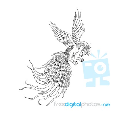 Simorgh Or Simurgh Flying Drawing Stock Image