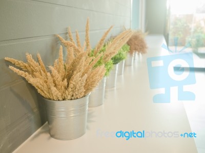 Simply Plant Bucket Decorated On Counter Stock Photo