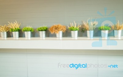 Simply Plant Bucket Decorated On Counter Stock Photo