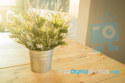 Simply Plant Bucket Decorated On Wooden Table Stock Photo