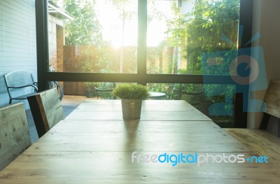 Simply Plant Bucket Decorated On Wooden Table Stock Photo