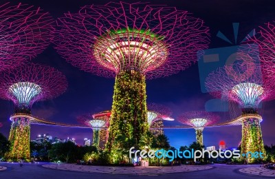 Singapore - Aug 10 , 2017 : Super Tree In Garden By The Bay, Singapore Stock Photo