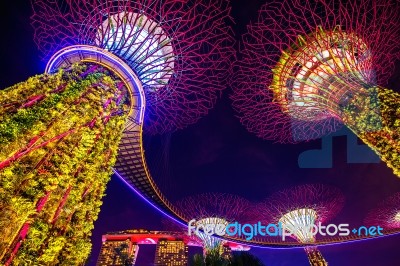 Singapore - Aug 9 , 2017 : Super Tree In Garden By The Bay, Singapore Stock Photo