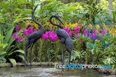 Singapore Botanical Garden Stock Photo