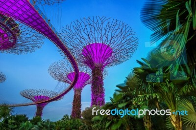 Singapore - Feb 11 , 2017 : Singapore Cityscape At Night In Singapore Stock Photo