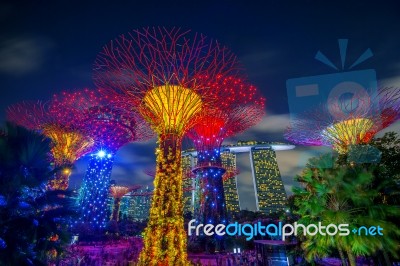 Singapore - Feb 11 , 2017 : Super Tree In Garden By The Bay, Singapore Stock Photo