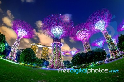 Singapore - Feb 11 , 2017 : Super Tree In Garden By The Bay, Singapore Stock Photo