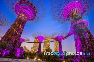 Singapore - Feb 11 , 2017 : Super Tree In Garden By The Bay, Singapore Stock Photo