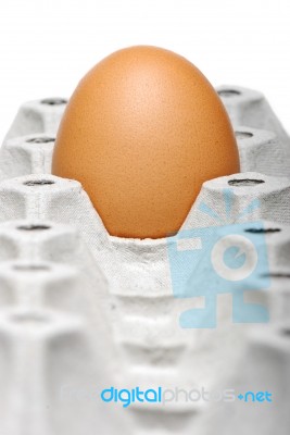 Single Egg In Container Stock Photo