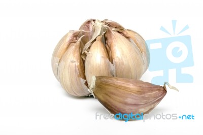 Single Garlic Bulb Stock Photo