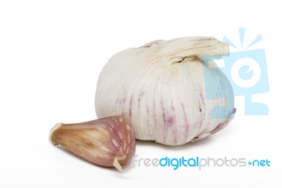 Single Garlic Bulb Stock Photo