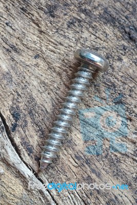 Single Metallic Screw Stock Photo