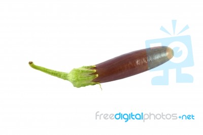 Single Purple Eggplant On White Background Stock Photo