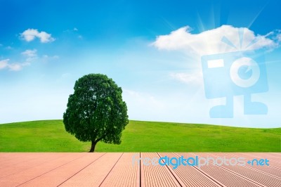 Single Tree,tree In Field And Blue Sky With Wooden Floor Stock Photo